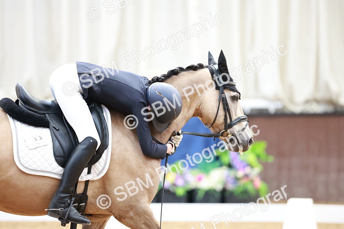 SBM_017246 - Class15 - FEI Pony