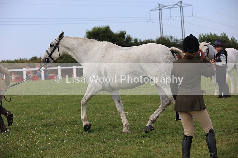 JPP_3933 - Class 23: Working Hunter 80cm