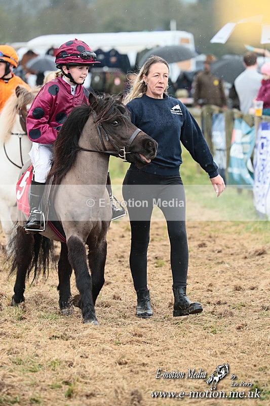 SHETPR 210425 68 - Shetland Ponies Paxford Races 21/04/25