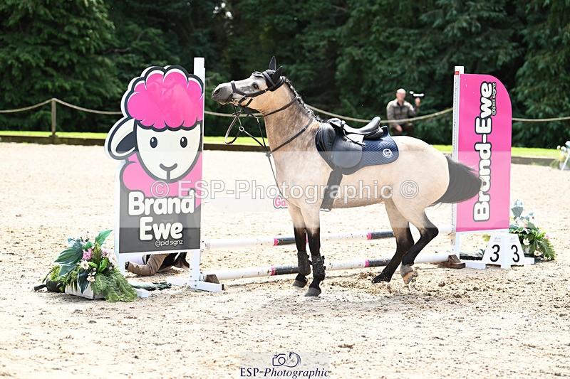 240824X-115130-25418 - 70cm Round 2 10.30 to 12.10