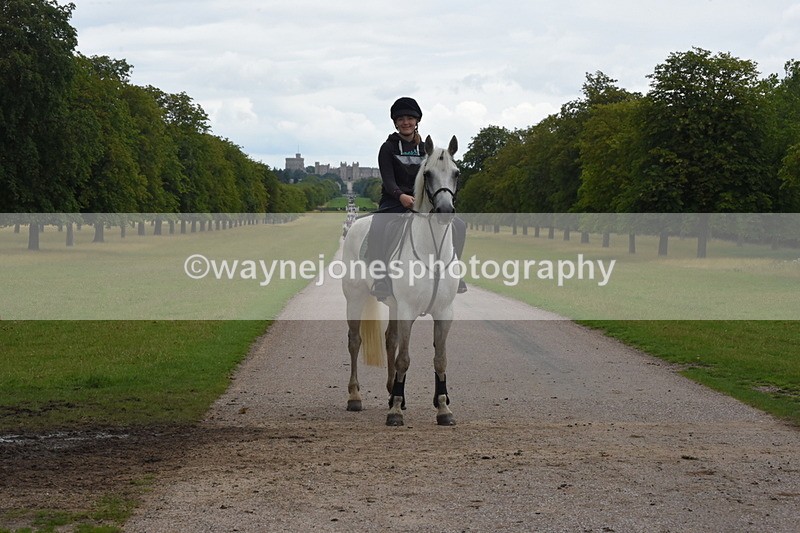 TT3_9984 - Time at Crossing 13:17 to 14:48