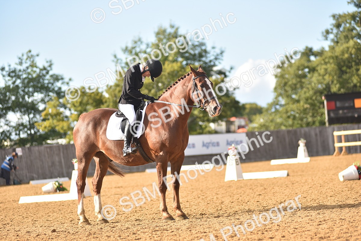 SBM_11399 - D15 - Small Tour Championship Novice 1