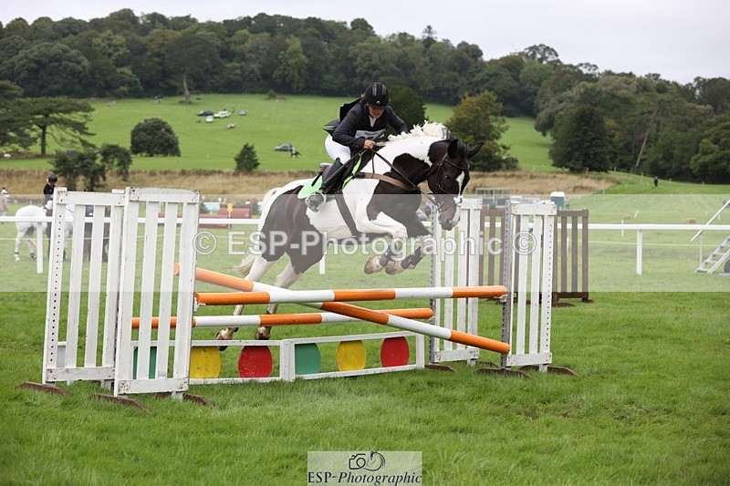 230805-122148-01994 - SJ 11.55 to 13