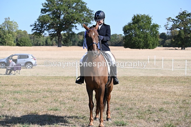 WJ6_7347 - Class 33 Rescue Pony