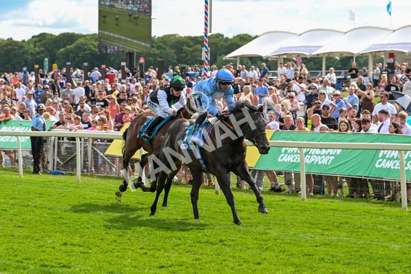 140625-Race 5-Egoli-3085 - Race 5 4.10pm Reg Griffin Appreciation EBFstallions.com Maiden Stakes