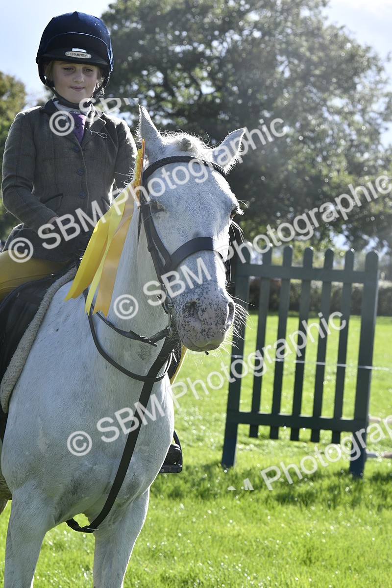 SBM_37240 - S31 - Novice & Newcomer Working Hunter Pony