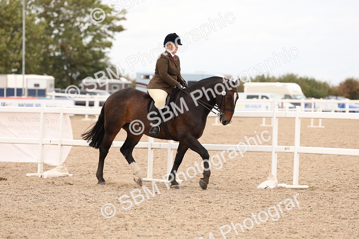 SBM_19511 - Class 215 - Ridden Show cob