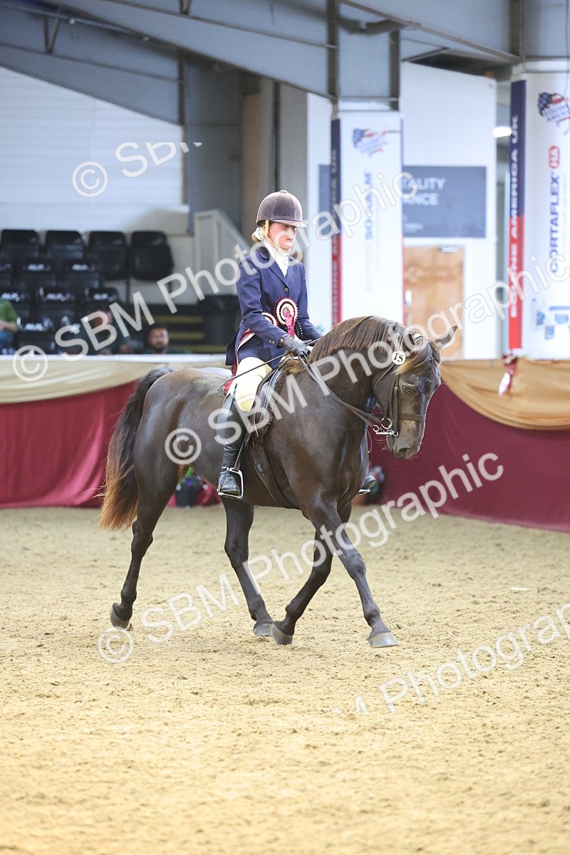SBM_24707 - Class 906 - Supreme Final - Ridden Pre Vet