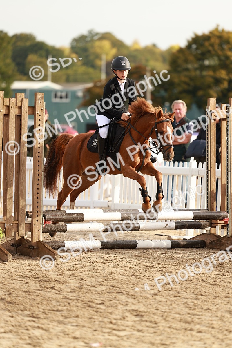 SBM_55683 - J11 - Junior Pony 50cm Championship
