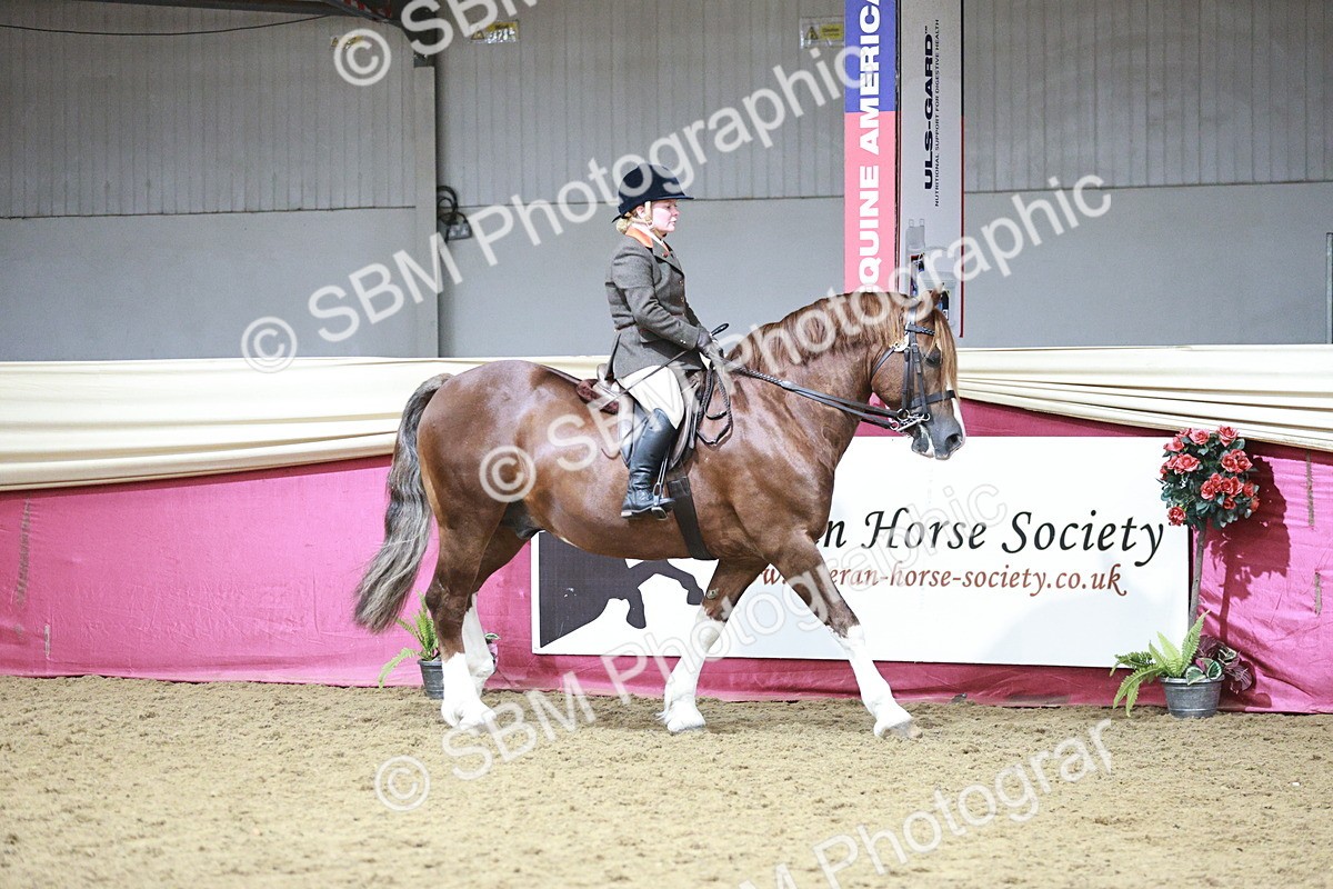 SBM_08735 - Class 12R - Regional Ridden Pre-Vet