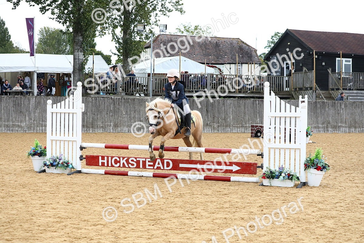 SBM_62256 - J64 - Junior Pony 60cm Championship