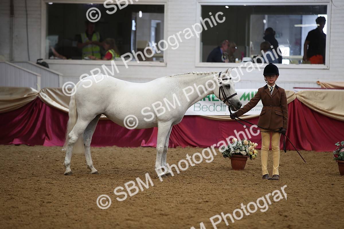 SBM_05291_Class 8r - Regional - IH Veteran - Vicky Gutteridge