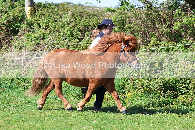 3E7A9347 - Class 16: Best Grass Kept