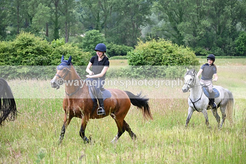 WJ6_7940 - Camera 1 Gallops