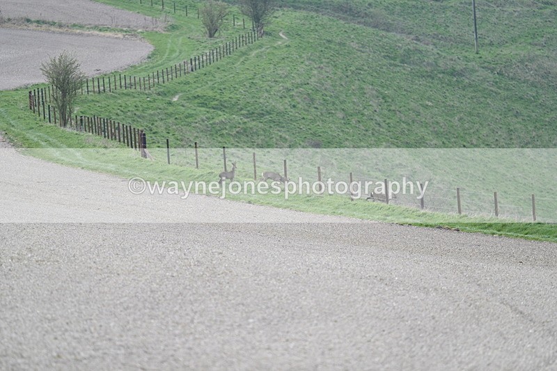 WJ7_7985 - Line 2 A camera