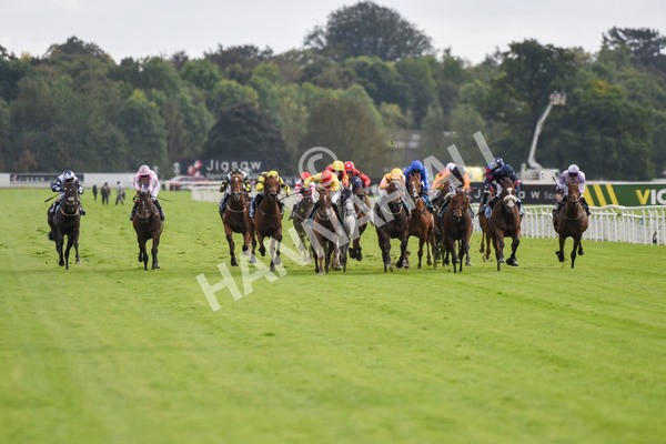 230923-Race 4-Aphelios-5682 - Race 4 3.45pm Jigsaw Sports Branding Handicap