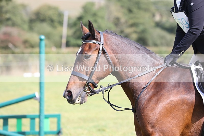 JPP_8865 - Class 2: Trekenning: 80cm Showjumping