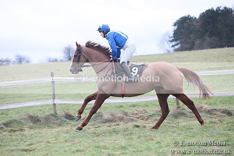 PtP 230119 200 - Royal Artillery Point-to-Point  - Larkhill  - 26/01/19