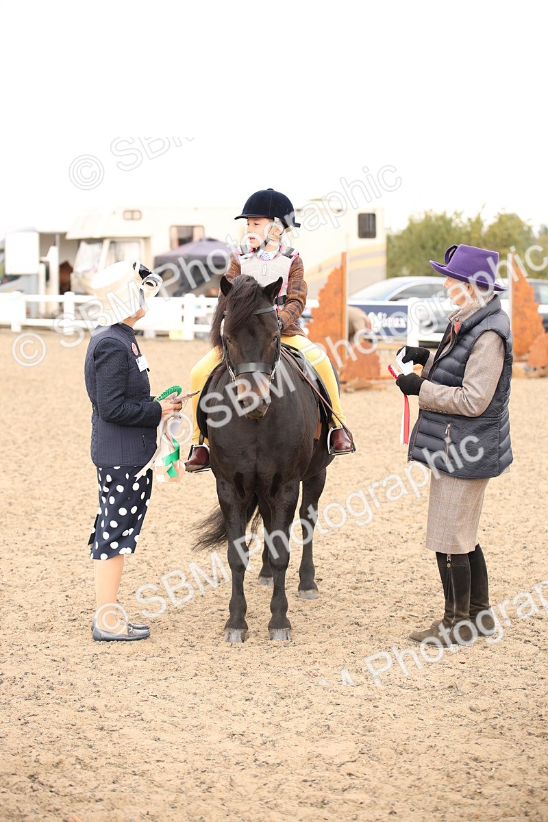 SBM_11736 - Class 404a Junior Working Veteran- 40cm (15-19)