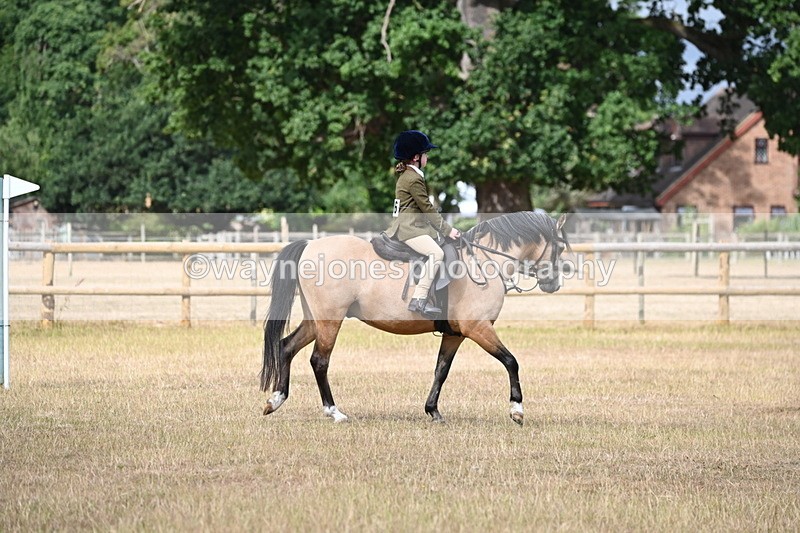 WJ6_7554 - Class 9 Tack and Turnout