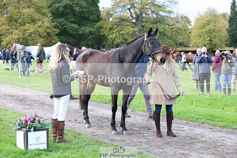 251026A-102357-22952 - E-392-Mary.Lowe