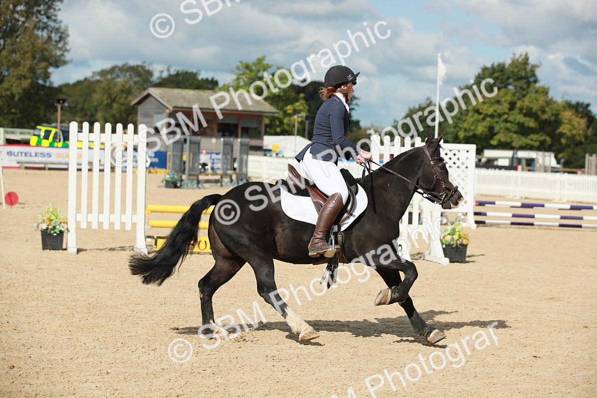 SBM_25121 - J28 Senior 60cm Championship