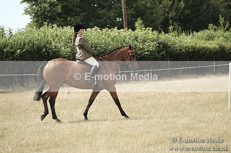 _PJP6097 - Ridden Championship BVRC Show 2018