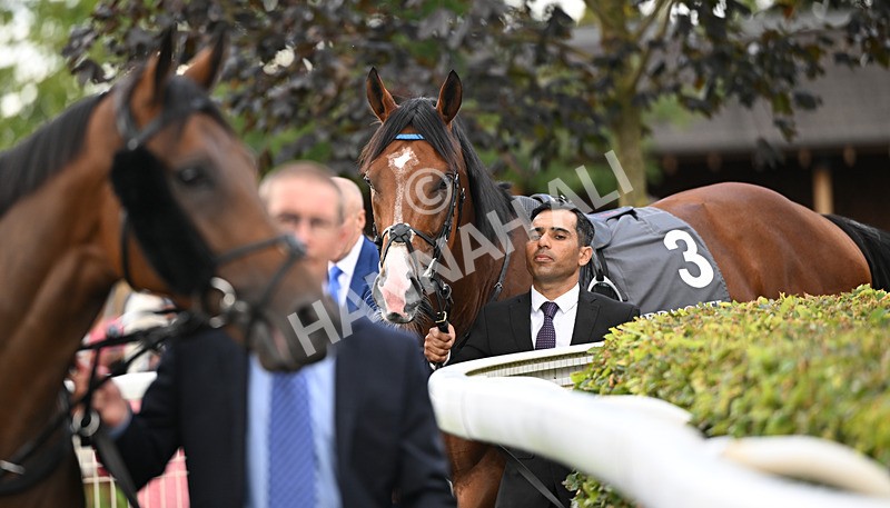 190826-176 Ombudsman - Race 4 15.35pm Juddmonte International Stakes