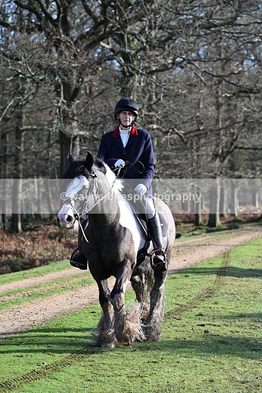 WJ7_7834 - Line 3 (no line 4 or 5)