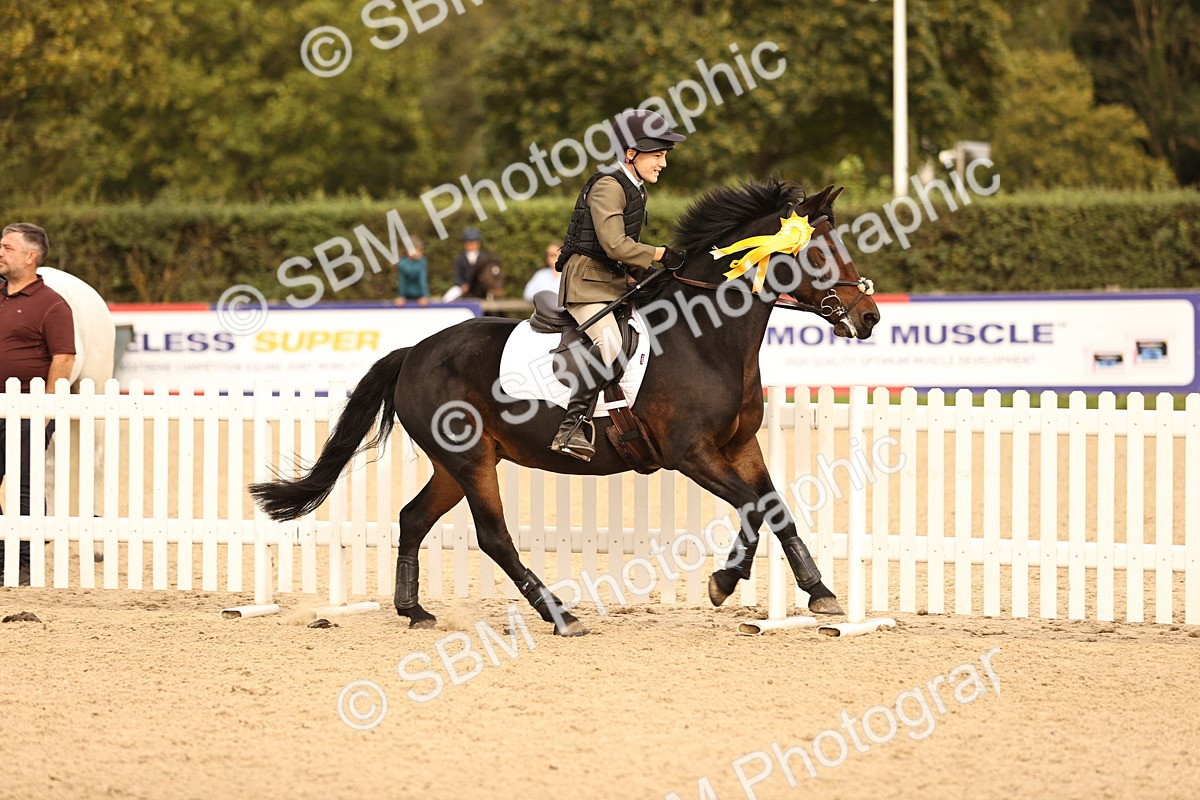 SBM_70870 - J13 - Junior Pony 60cm Championship