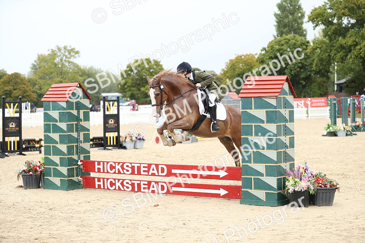 SBM_37197 - J20 - Junior Horse 50cm Championship