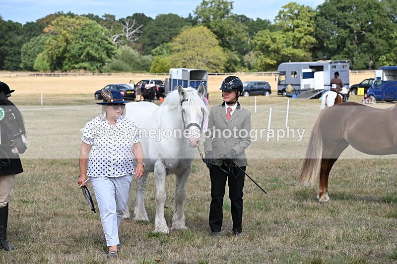 WJ6_6769 - Class 20 In-hand Cob