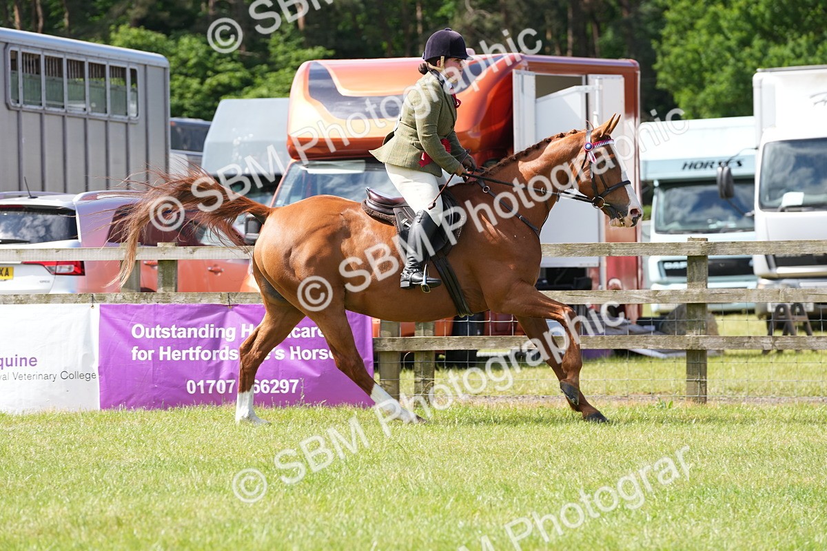 SBM_12977 - Class 99 - RIHS SEIB Working Show Horse