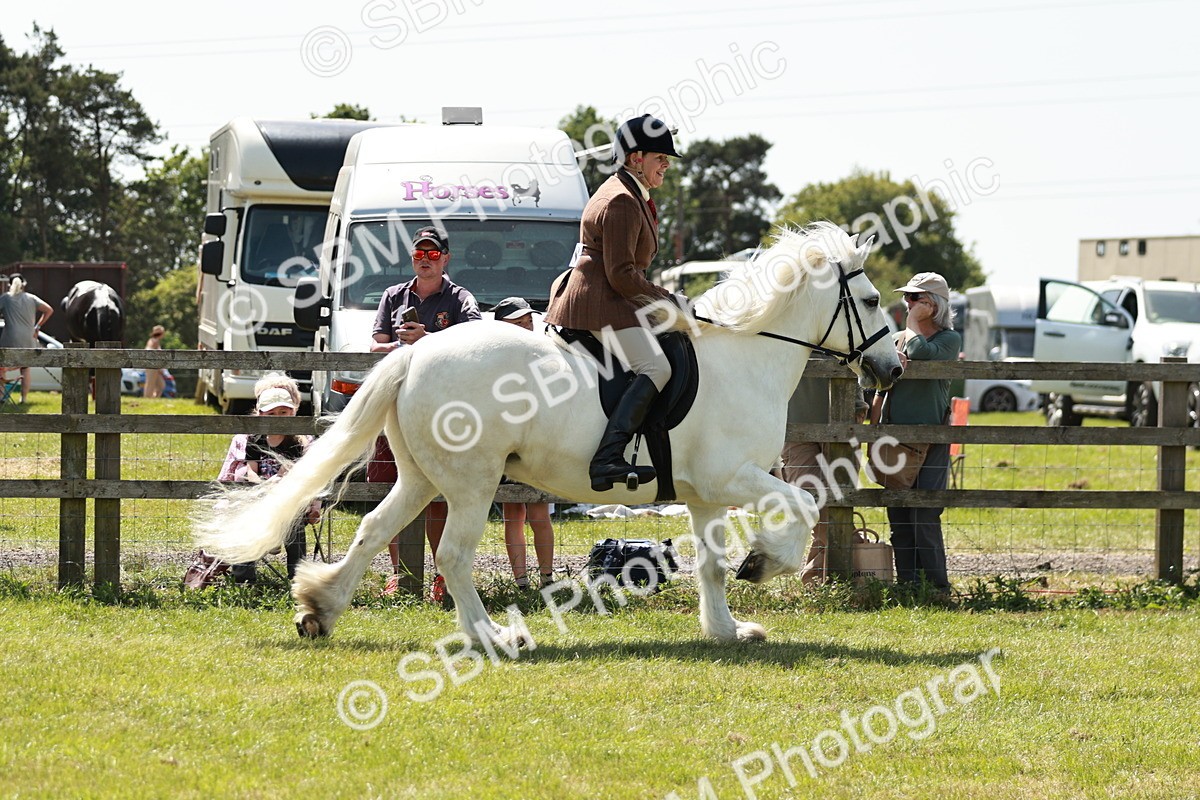 SBM_07066 - Class 26-30 - Mountain and Moorland Ridden