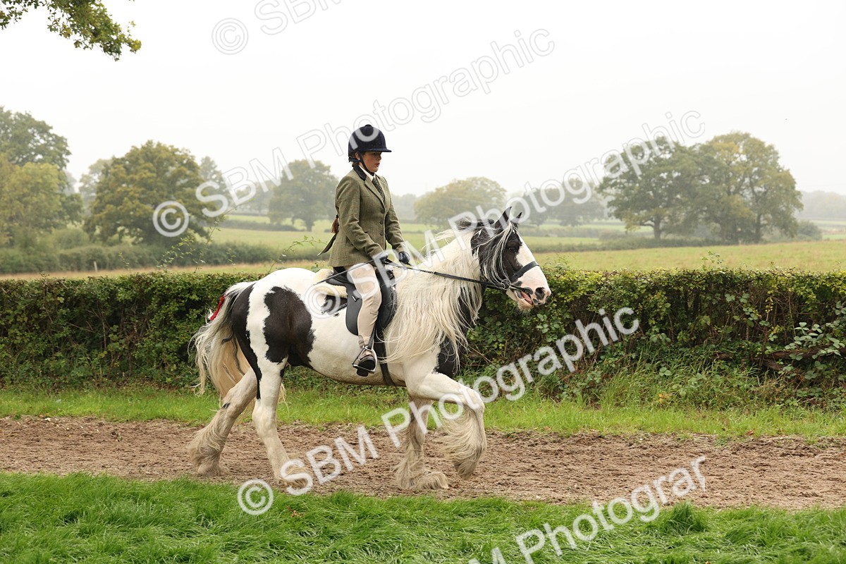 SBM_72706 - S70 - Traditional Cob Ridden
