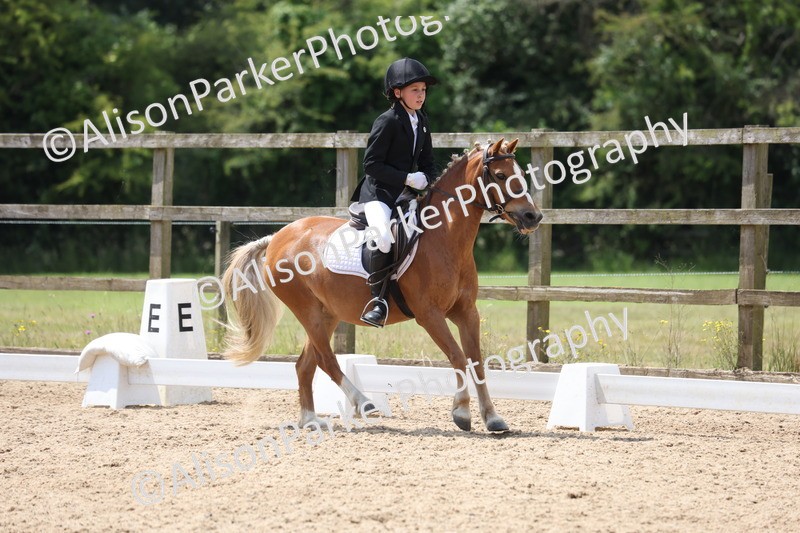 20250614-0612 - Class 5 - Novice 3