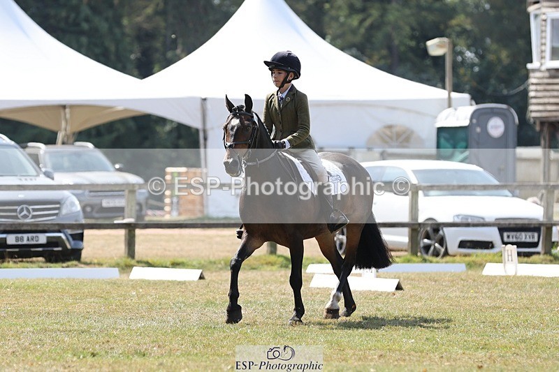 250823A-123309-29816 - Arena C