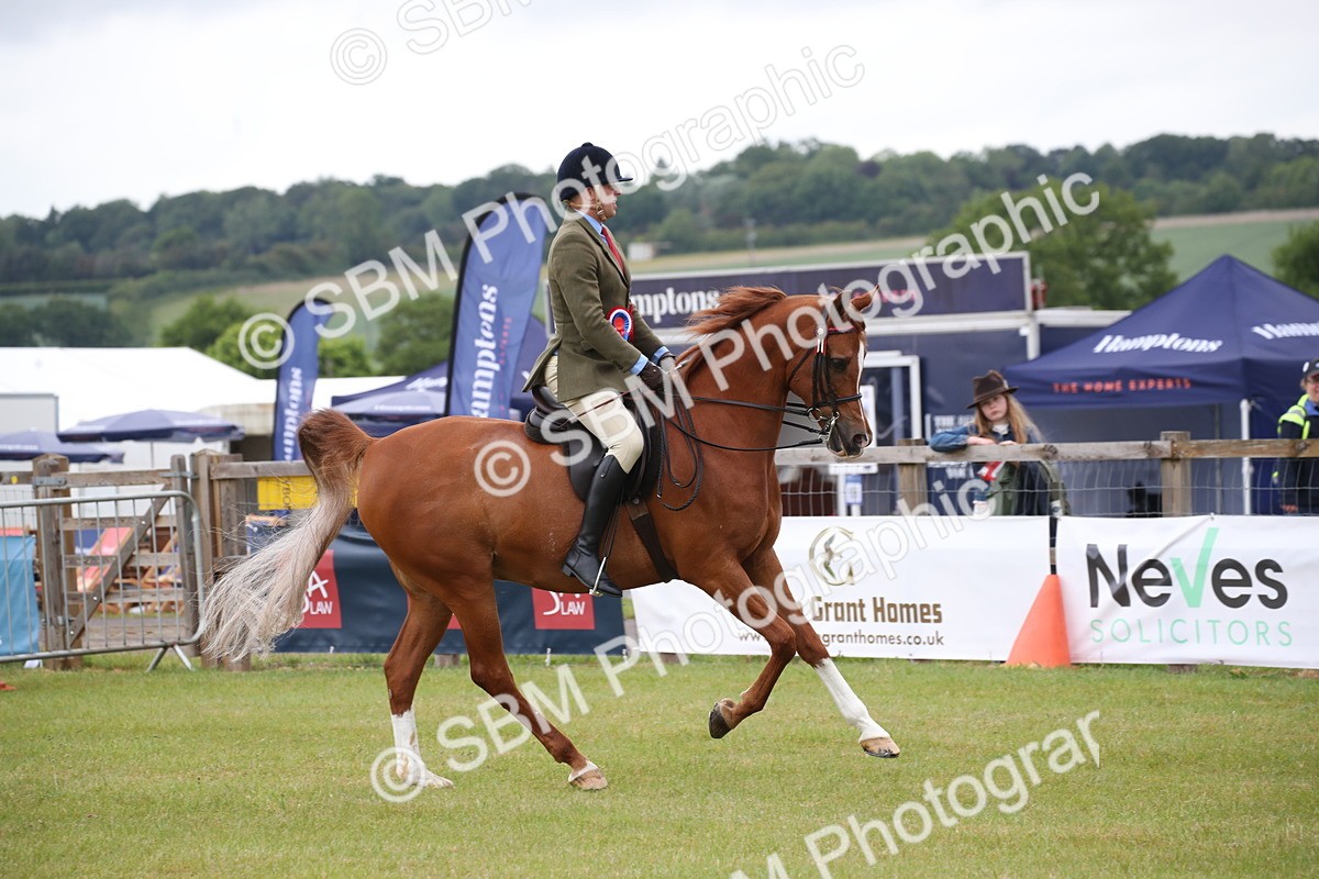 SBM_03657 - Class 21 - 22 - Ridden Arab and Part Bred/Anglo Arab