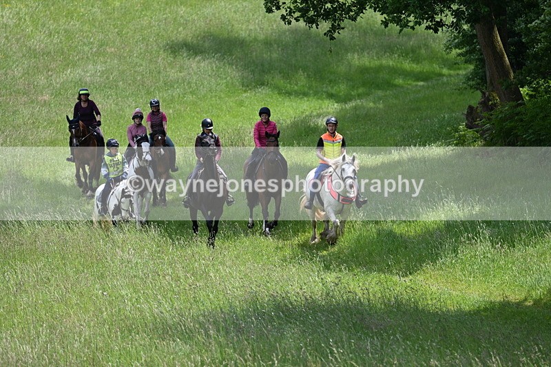 WJ7_8747 - Group 4 11am