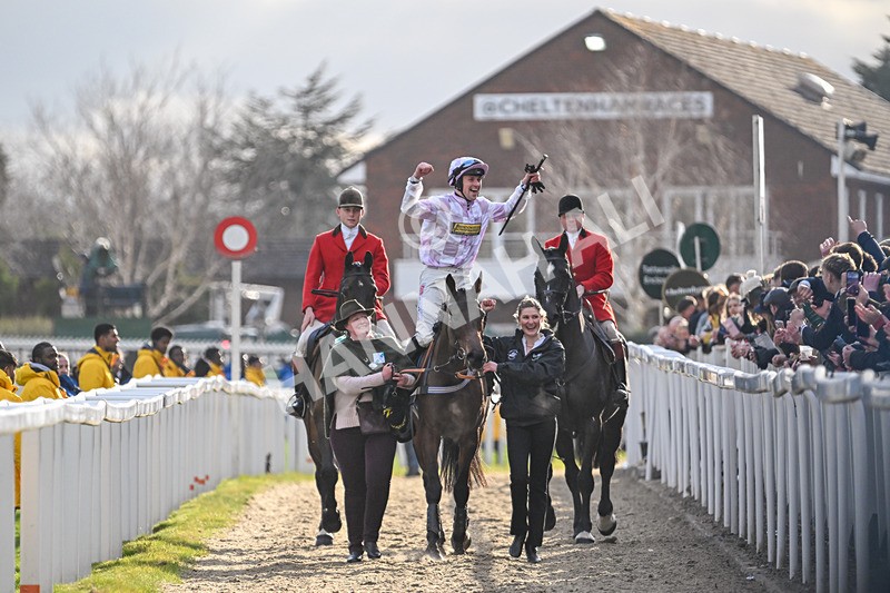 110325-Race 5-Golden Ace-3264 - 11th March
