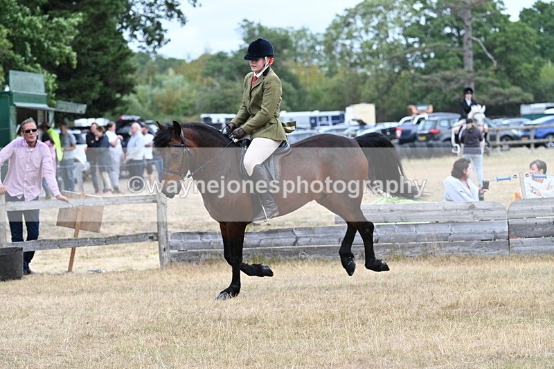 WJ7_0639 - Class 6 Ridden Mountain and Moorland