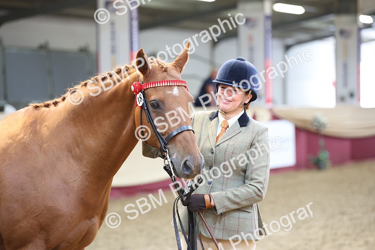 SBM_23374 - Class 903 - Supreme Final - IH Pre Vet