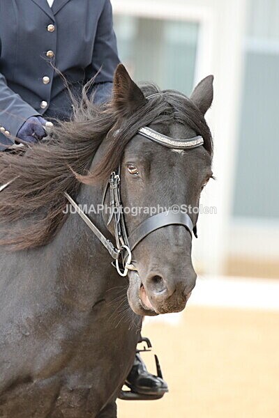 SIAL8166 - GDG Bogenraith Friday 26th Sept 2025