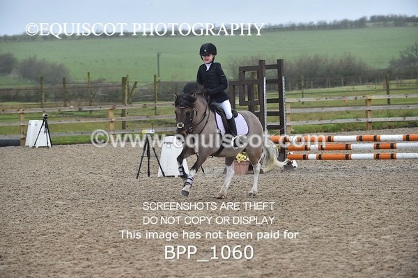 BPP_1060 - CLASS 1 Club/ Unaffiliated 60cms Open