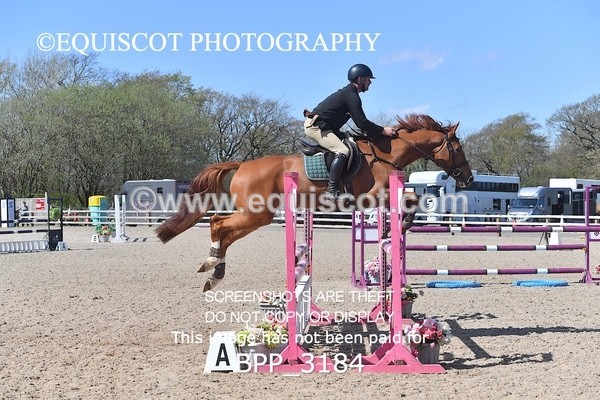 BPP_3184 - CLASS 14  Senior Newcomers/ 1.10m Open