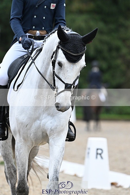 231019-094019-01176 - 027-IE.MR.MCGREGOR-Will.Furlong-DR