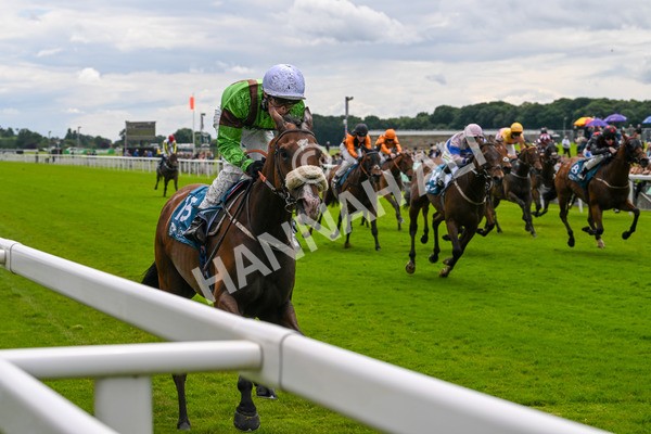 140624-Race 1-Tolstoy-3733 - Race 1 1.50pm Andy Thornton Hospitality Furniture Apprentice Handicap