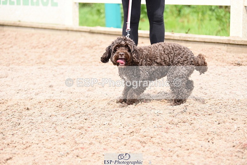 240518A-115212-00847 - Cls 2 Prettist Bitch