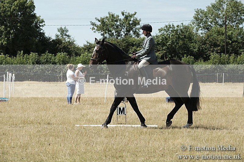 _PJP5823 - Dressage Classes BVRC Show 2018