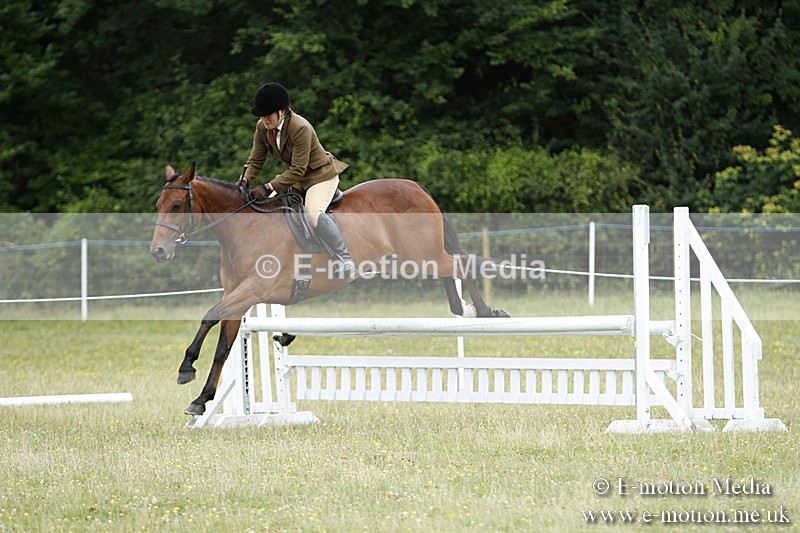 BVR160717-1679 - Ring 3 BVRC Show 16/07/17